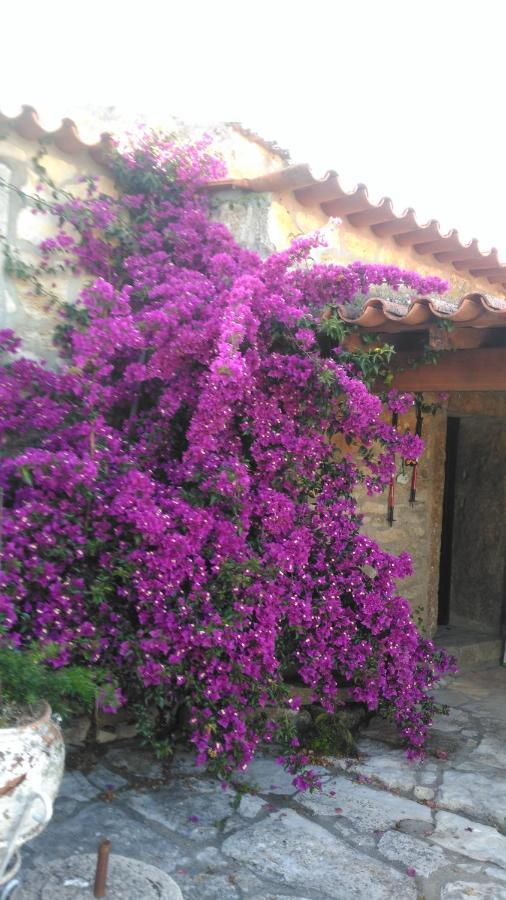 Casa De Chanca Penela Exteriér fotografie
